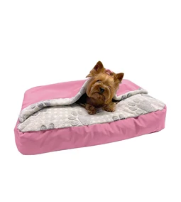 Lola, a Yorki: Élet az Első Évtizedben