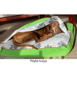Pityke a Magyar Vizsla a Matrackuckónál