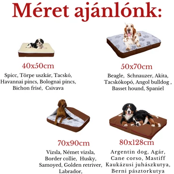 Szilikongolyó töltetű kutyafekhely Sloopy a Matrackuckónál