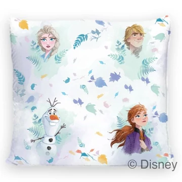Disney párnahuzat 40x40cm