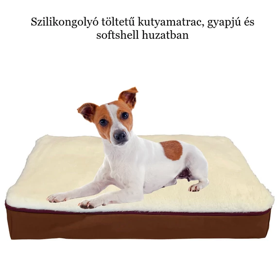 Szilikongolyó töltetű kutyafekhely Sloopy a Matrackuckónál