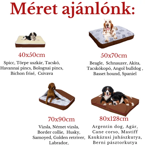 Hideghabos kutyafekhely Sloopy a Matrackuckónál